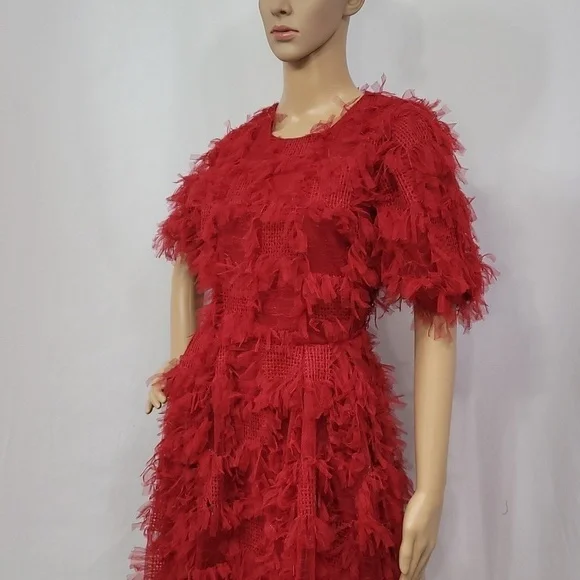 Endless Rose Texture Mesh  Overlay Mini Dress - Picture 8 of 17